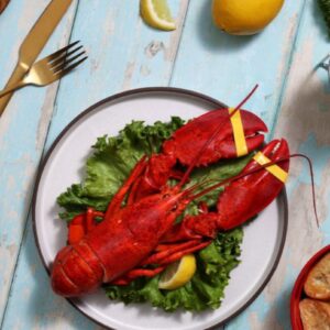 1.25 lb Live Maine Lobster