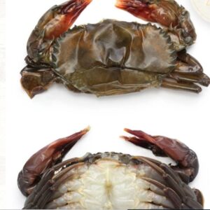 SOFT SHELL CRABS – EXTRA LARGE (1)
